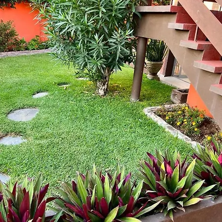 Calle Francia Apartment Puerto de la Cruz (Tenerife)